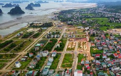 Lập đoàn thanh tra việc “thổi giá”, chuyển nhượng đất ở Vân Đồn