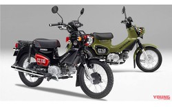 Honda Cross Cub 110/50 Kumamon bản đặc biệt, màu cực độc