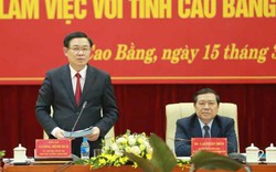 Cao Bằng: Gắn phát triển HTX với Chương trình OCOP