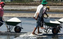 Nơi có hạt muối ngon, cùng với cá cơm làm nên nước mắm Phú Quốc