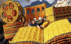 150 tấn chanh được sử dụng cho lễ hội kỳ lạ diễn ra suốt 86 năm