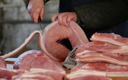 Chuyên gia Viện Thú y mách cách phát hiện sán lợn trong thịt
