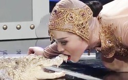 "Toát mồ hôi" xem cô gái dùng miệng "hôn" cá sấu
