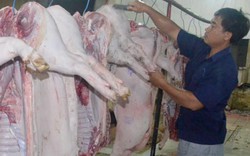 Cục Thú y: Lợn ở vùng dịch được giết mổ, tiêu thụ tại chỗ có kiểm soát