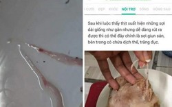 Đăng tin sai về thịt lợn nhiễm sán trên facebook, bị phạt 10 triệu đồng