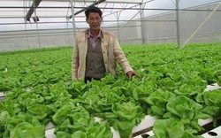 Agribank "hiến kế" tiếp sức nông sản Việt vươn ra thế giới
