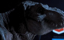 Phát hiện mới cho thấy khủng long bạo chúa... không to và hung dữ như trong phim