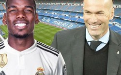 Tiết lộ giấc mơ đến Real với Zidane, Pogba lại khiến M.U lo sốt vó