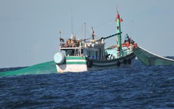 Tàu giã cào phá vùng bảo tồn biển: Phạt 25 triệu, thu ngư lưới cụ