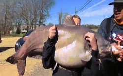 Mỹ: Cậu bé 13 tuổi câu được cá da trơn to khủng khiếp, phá kỷ lục bang