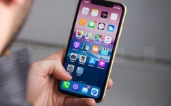Nhà cung cấp màn hình iPhone nhận “trái đắng” từ Apple