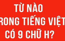 6 câu đố của trẻ con nhưng người lớn cũng trả lời sai