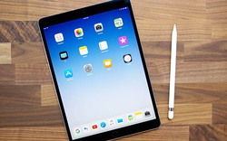 Cơ hội mua iPad mini 4 và iPad Pro 10.5 với giá giảm đến 10 triệu đồng