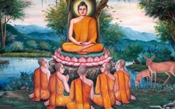 Tại sao đa số tu sĩ Phật giáo Việt Nam đều lấy họ Thích?