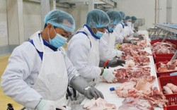 Thịt lợn an toàn: Sản lượng tiêu thụ tăng gấp đôi giữa bão dịch