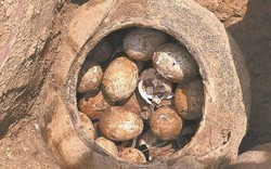 Trứng ngàn năm tuổi bất ngờ tìm thấy trong chiếc vại ở ngôi mộ cổ