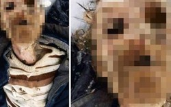 Nga: Tìm thấy xác ướp người đàn ông mất tích trong hang gấu nâu