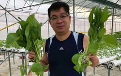 Hà Tĩnh: Trai "liều" đổ cả tiền tỷ chỉ để đi trồng rau