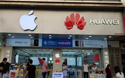 Huawei chê Mỹ là kẻ thua cuộc, không thể cạnh tranh với mình