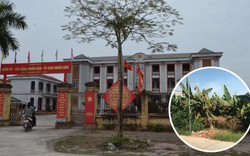 Hưng Yên: Sai phạm tại xã Phạm Ngũ Lão, chính quyền huyện ở đâu?