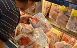 Ùn ùn nhập thịt gà, HH Gia cầm Việt Nam kiến nghị chưa giảm thuế