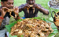 Đại gia Ấn Độ một bữa ăn hết 1000 con cua bằng cách có một không hai