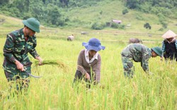 Màu “áo xanh” ở ngôi làng ẩn trong rừng già, ai cũng mang họ Hồ