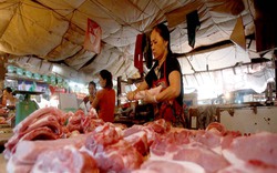 Giá thịt lợn: bình ổn trong siêu thị, bất ổn chợ dân sinh