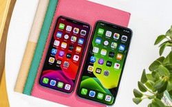 Apple đang dần "đẩy" Samsung khỏi chuỗi cung cấp màn hình