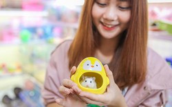 Hình ảnh chuột hamster bất ngờ đắt khách mua dịp Tết Canh Tý