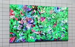 Samsung ra mắt TV QLED 8K siêu nét, không viền màn hình