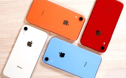 iPhone XR giá từ 11,5 triệu đồng có còn “chất” trong Tết Canh Tý?