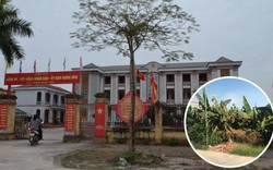 Hưng Yên: UBND huyện vào cuộc vụ sai phạm tại xã Phạm Ngũ Lão