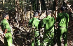 Thông tin bất ngờ vụ 9 bộ xương nghi của người tại Tây Ninh