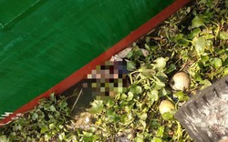 Thi thể phụ nữ đang phân hủy nổi trên sông Sài Gòn