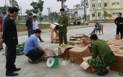 Bắt giữ vụ vận chuyển "khủng" hơn 1 tấn pháo nổ