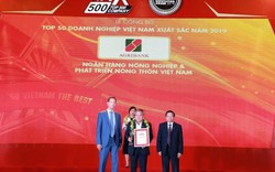 Agriabnk - TOP10 Doanh nghiệp lớn nhất Việt Nam năm 2019