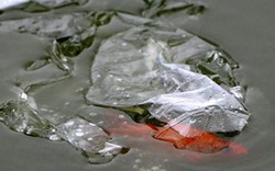 Vứt túi nilon bừa bãi khi thả cá cúng Táo quân bị phạt đến 7 triệu
