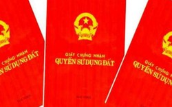 Phát hiện loạt sổ đỏ được làm giả tinh vi ở Bình Định