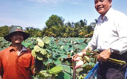 Về nơi “trên cơm, dưới cá”