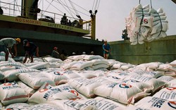 Tin vui năm 2020: Hàn Quốc dành hạn ngạch 55.112 tấn cho gạo Việt