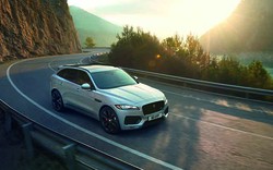 Jaguar tặng 100% phí trước bạ cho khách mua xe F-Pace tại Việt Nam