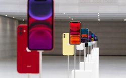 Nên chọn iPhone 11 màu gì để du Xuân cho chất?