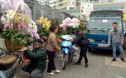 Việc tay chân ngày thường trở nên "đắt hàng" dịp Tết, mỗi ngày kiếm bạc triệu