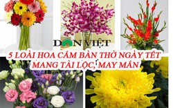 5 loại hoa cắm bàn thờ dịp Tết hút tài lộc, may mắn trong năm mới