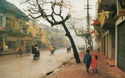 Mời tham gia viết “Ký ức Tết trong tôi” trên báo Dân Việt