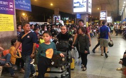 Nghẹt thở đón Việt kiều ở sân bay Tân Sơn Nhất