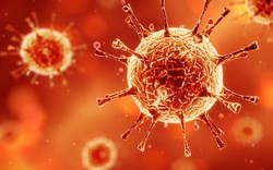 Điểm danh 13 đại dịch virus nguy hiểm nhất hành tinh