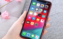 Tết 2020 có nên chọn mẫu iPhone này để du xuân?