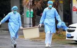 Đã có 17 người tử vong, hơn 500 người nhiễm Virus Corona